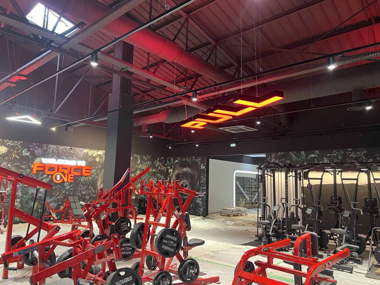Installation de matériel fitness professionnel