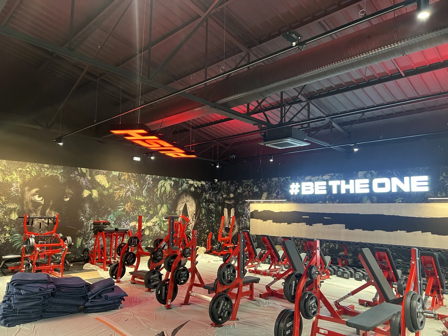 Installation de salle fitness